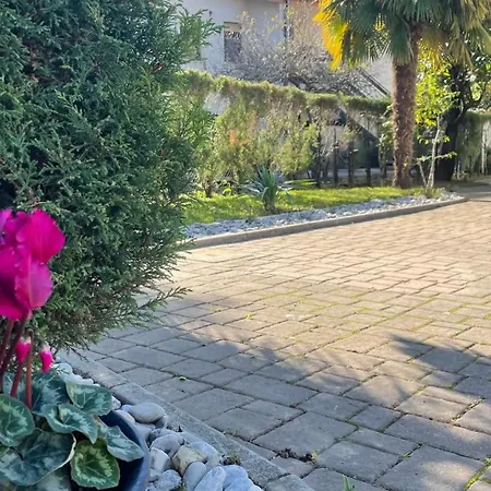 Madonca & Restaurant