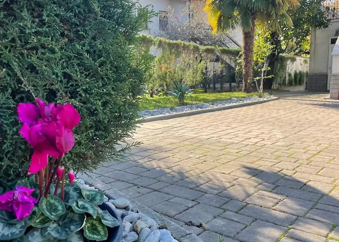 Madonca & Restaurant